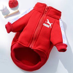 Poma Dog Hoodie Sweater Small Medium Size Warm Jacket